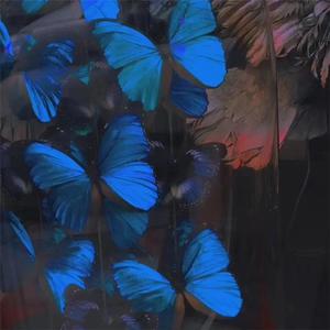 国产特级毛片A高清
